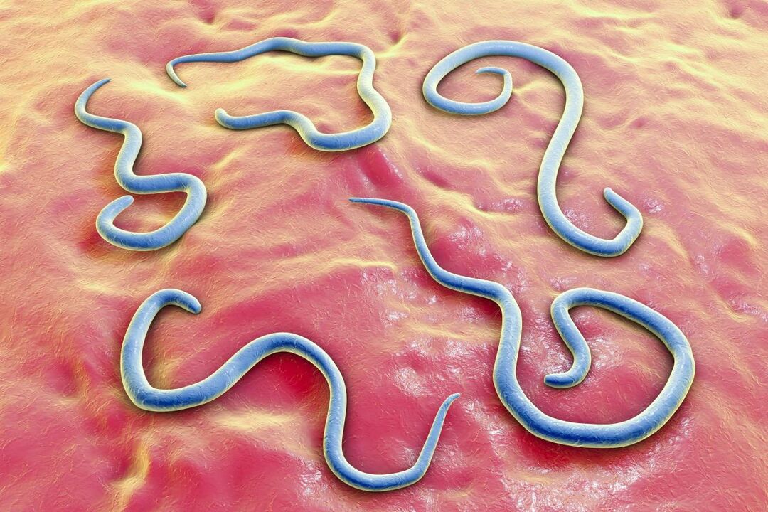 parazitické červy v lidském těle
